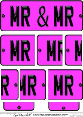 Mr & Mr Novelty Number Plate with Side Stacker