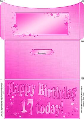 17th Birthday Metallic Age Money or Gift Wallet and Card