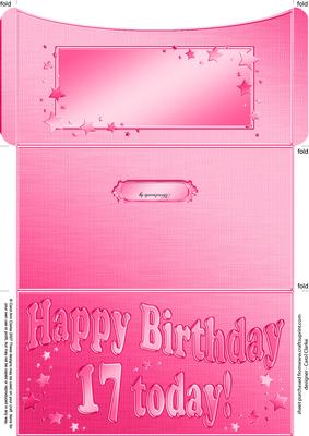 17th Birthday Metallic Age Money or Gift Wallet and Card