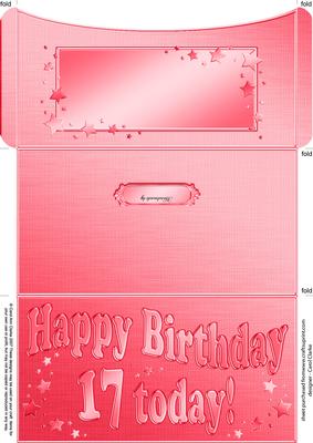 17th Birthday Metallic Age Money or Gift Wallet and Card