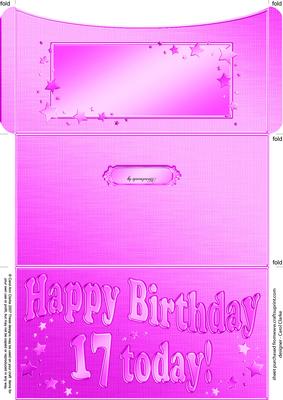 17th Birthday Metallic Age Money or Gift Wallet and Card