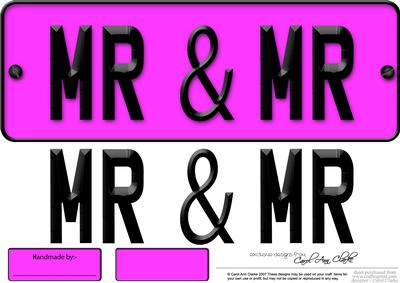 Large Dl Mr & Mr Novelty Number Plate N 3D Decoupage