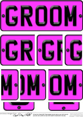 Groom Novelty Number Plate with Side Stacker