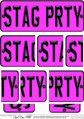 Stag Party Novelty Number Plate with Side Stacker