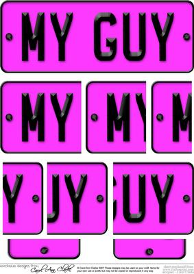 My Guy Novelty Number Plate with Side Stacker