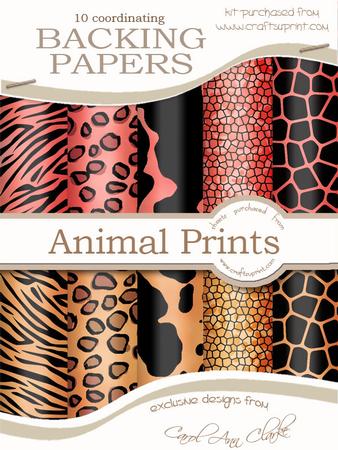 Funky Fun Animal Print Backing Paper Kit
