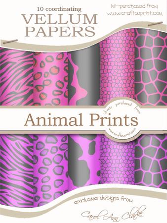 Funky Fun Animal Print Vellum Paper Kit