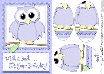 A5 What a Hoot Owl Birthday Oval Pyramage Topper