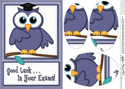 A5 Wise Owl Exam Good Luck Felties Oval Pyramage Topper