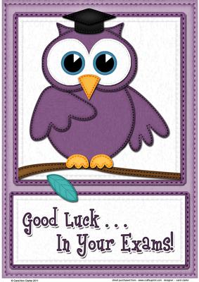 A4 Wise Owl Exam Good Luck Felties Card Topper