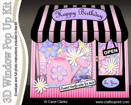 3D Flowers Window Pop Up Card Decoupage N Envelope
