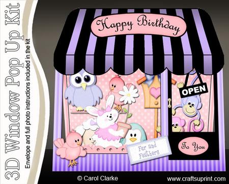 3D Fur N Feathers Window Pop Up Card Decoupage N Envelope