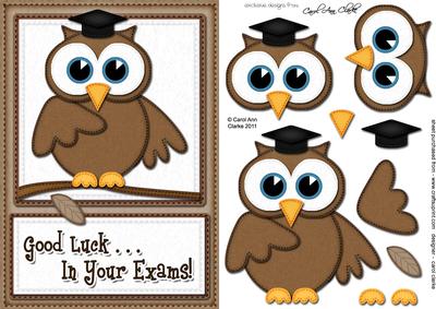 A5 Wise Owl Exam Good Luck Felties Quick Card 3D Decouopage