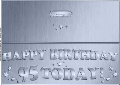Large Dl 95th Birthday Quick Cut and Fold Card