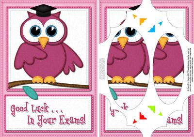 A5 Wise Owl Exam Good Luck Felties Scallop Corners and Pyram