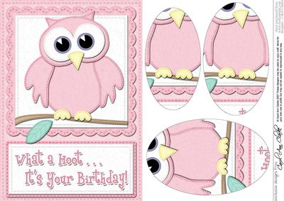 A5 What a Hoot Owl Birthday Oval Pyramage Topper