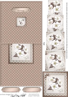 Apple Blossom  No-Hole Easy Over the Edge Card & Spiral Pyramid Topper