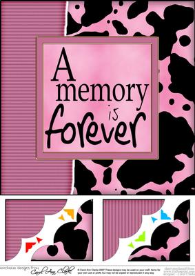 8 x 8 Fun and Funky Animal Print Scalloped Corner Topper