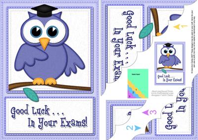 A5 Wise Owl Exam Good Luck Felties Scallop Side Stacker