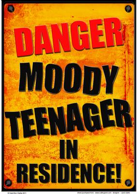 A4 Fun Novelty Moody Teenager Card Topper