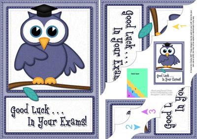 A5 Wise Owl Exam Good Luck Felties Scallop Side Stacker
