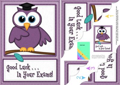 A5 Wise Owl Exam Good Luck Felties Scallop Side Stacker
