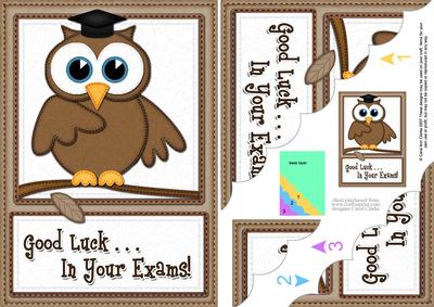 A5 Wise Owl Exam Good Luck Felties Scallop Side Stacker