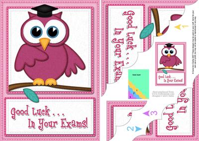 A5 Wise Owl Exam Good Luck Felties Scallop Side Stacker