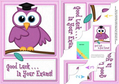 A5 Wise Owl Exam Good Luck Felties Scallop Side Stacker