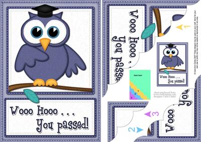 A5 Wise Owl Exam Congrats Felties Scallop Side Stacker