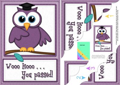 A5 Wise Owl Exam Congrats Felties Scallop Side Stacker