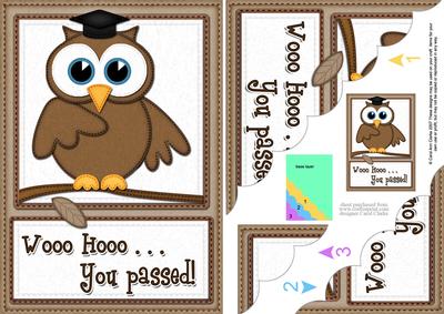 A5 Wise Owl Exam Congrats Felties Scallop Side Stacker