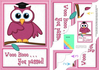 A5 Wise Owl Exam Congrats Felties Scallop Side Stacker