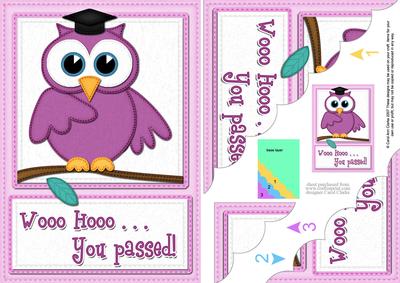 A5 Wise Owl Exam Congrats Felties Scallop Side Stacker