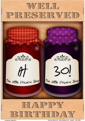 A4 Novelty Well Preserved 30th Birthday Jams Topper