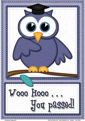A4 Wise Owl Exam Congrats Felties Card Topper