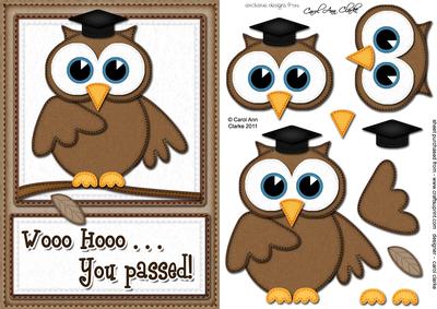 A5 Wise Owl Exam Congrats Felties Quick Card 3D Decoupage