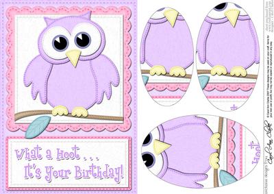 A5 What a Hoot Owl Birthday Oval Pyramage Topper
