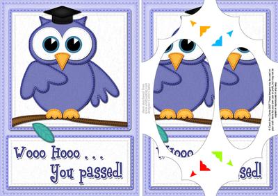 A5 Wise Owl Congrats Felties Scallop Corners N Pyramage