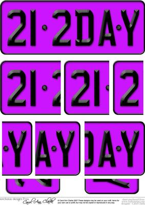 21st Birthday Fun Novelty Number Plate with Side Stacker Top