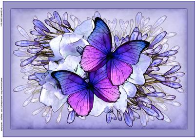A4 Butterflies N Flowers Card Topper