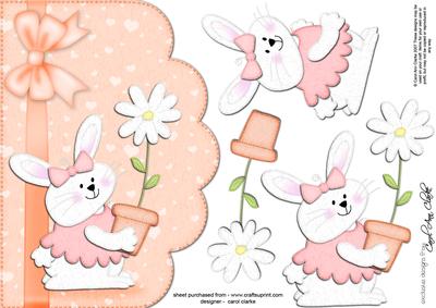 A5 Little Bunny Girl Felties Scalloped Edge N 3D Decoupage