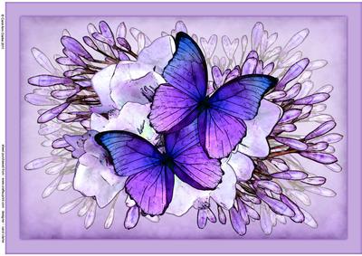 A4 Butterflies N Flowers Card Topper