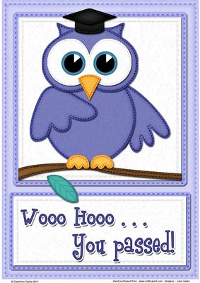 A4 Wise Owl You Passed Felties Card Topper