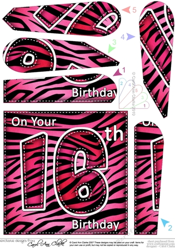 Fun Zebra Striped 16th Birthday Fan Pyramage Topper
