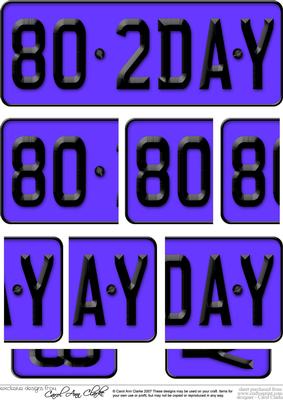 80th Birthday Fun Novelty Number Plate Side Stacker Topper