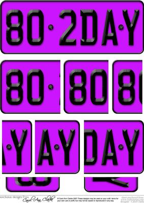 80th Birthday Fun Novelty Number Plate Side Stacker Topper