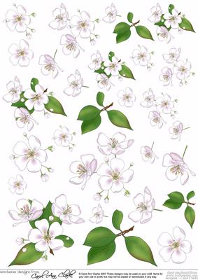 Apple Blossom Decoupage