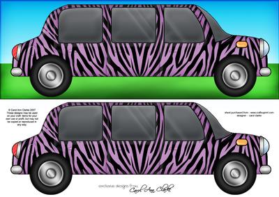 Large Dl Zebra Stripe Stretch Limo Quick Card N 3D Decoupage