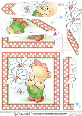 Robert's Flowers Quick Card with Fan Pyramage Topper
